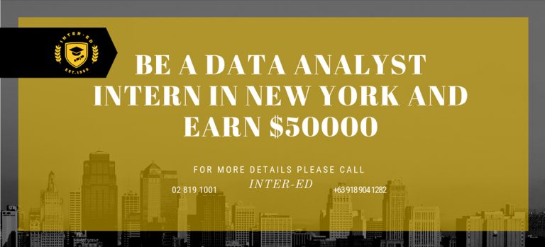 DATA ANALYST to do a 12-month PAID INTERNSHIP IN NEW YORK!